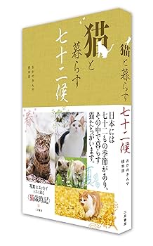紫苑猫様専門ページ 日本画 猫と金魚 原画 絵画 紫苑工房 通販 11482476｜Creema